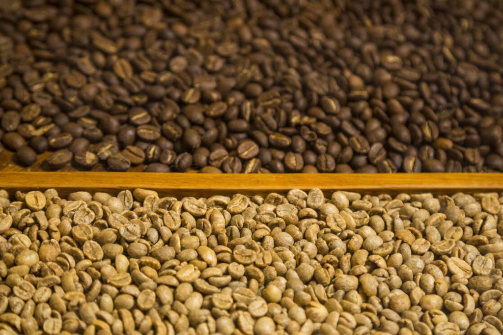 Cara Memilih Biji Kopi Mentah (Green Bean) Berkualitas untuk Roasting