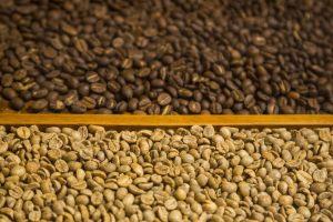Cara Memilih Biji Kopi Mentah (Green Bean) Berkualitas untuk Roasting